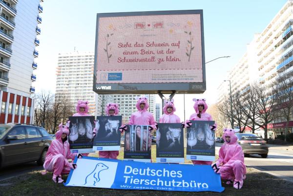 Die Schweine sind los! - Plakate mit "Neuen Bauernregeln" des Deutschen Tierschutzbüros hängen nun in Berlin