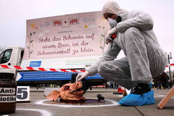 Pressetermin am 16.03.2017: Schweine plakatieren "Neue Bauernregeln" in München - Innenstadt wird zum Tatort