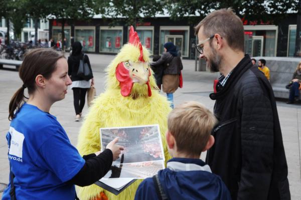 Tierrechtler verkleidet als Huhn machen Eier-Umfrage in Magdeburg, Dresden, Leipzig und Chemnitz 