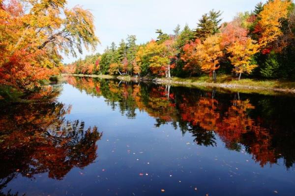 7 Mile Lake im Herbst - atemberaubende Seegrundstücke in Kanada 