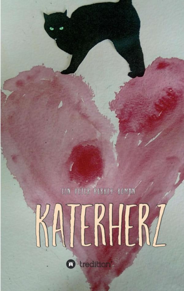 Katerherz - neuer Roman inszeniert ein Kaleidoskop aus Liebe, Obsession und Rache
