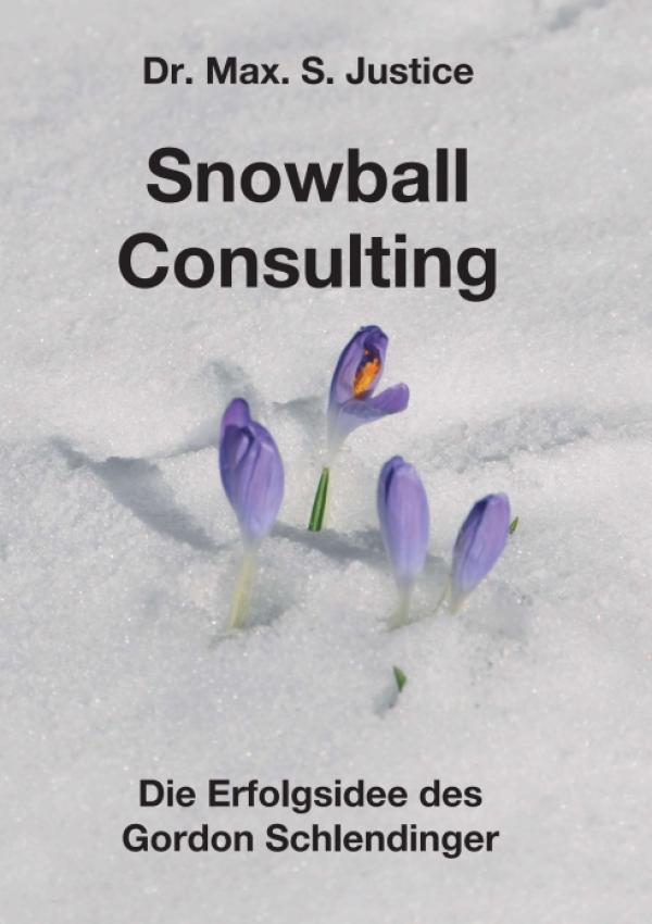 Snowball Consulting - Insider-Bericht aus der deutschen Unternehmungsberatungslandschaft 