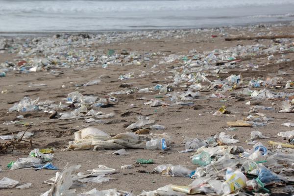 Plastikmüll und die Weltmeere - denke global, handle lokal