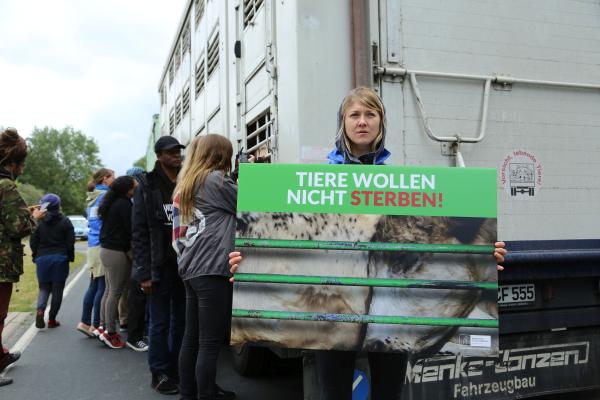 Über 200 Aktivisten stoppten Tiertransporter bei einer Mahnwache vor einem Schlachthof in Perleberg 