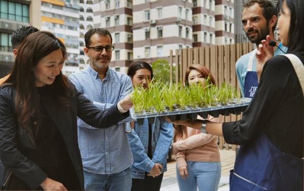 Gemüse aus eigenem Anbau - Hongkonger Einwohner entdecken den Terrassengarten
