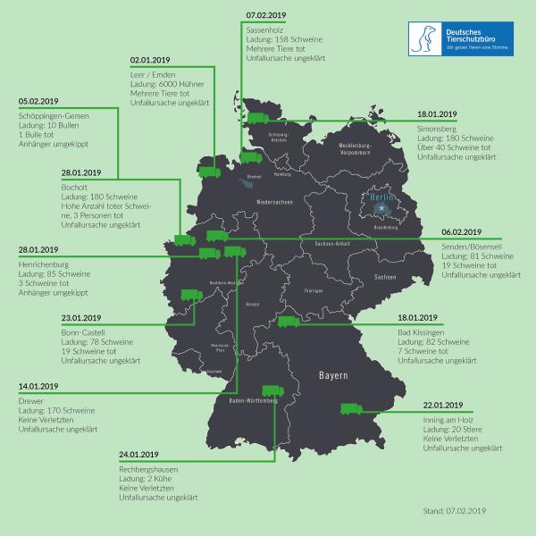 Bereits 12 schwerwiegende Tiertransporter-Unfälle im Jahr 2019 alleine in Deutschland 