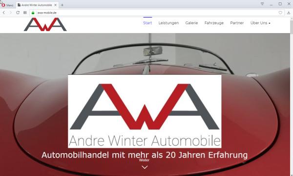 Andre Winter Automobile ab jetzt bei cmsGENIAL