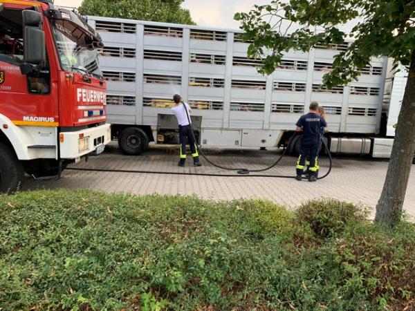 Polizei stoppt überhitzten Tiertransporter auf A3 bei Nürnberg - Tierrechtler stellen Anzeige