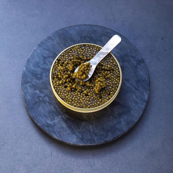 Kaviar die wohl teuerste Delikatesse weltweit
