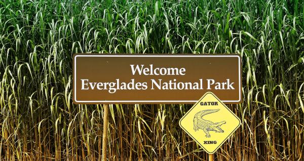 Der Everglades National Park Florida