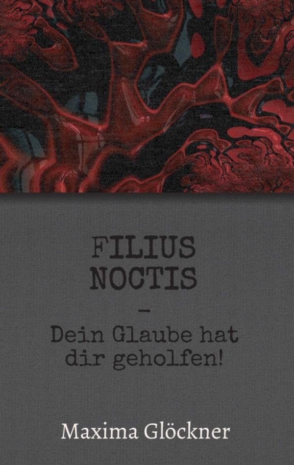 Filius Noctis - ein mysteriöser Entwicklungsroman