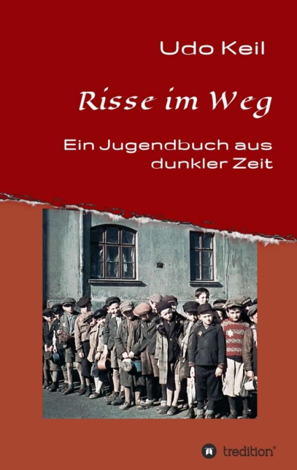 Risse im Weg - Ein Jugendbuch aus Deutschlands dunkler Zeit