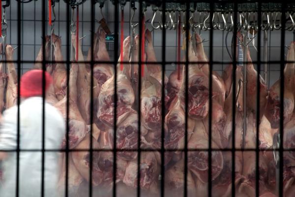 Corona: Immer mehr Schlachthöfe betroffen - Tierrechtler*innen fordern Schließung