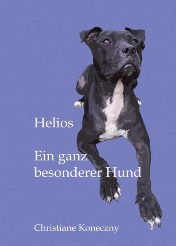 Helios - Eine bewegende Hunde-Geschichte