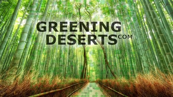 Greening Deserts Projekte für Artenschutz, Klimaschutz und Umweltschutz