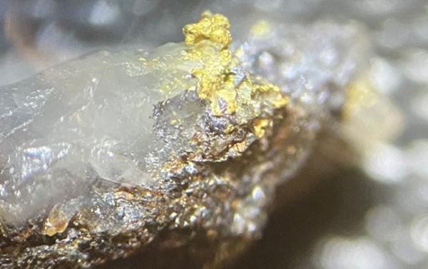 De Grey Mining: Auf dem Weg zu einer Goldlagerstätte von Weltklasse!
