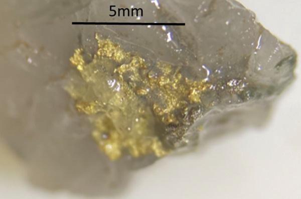De Grey Mining: Diese Goldgehalte sind außergewöhnlich!