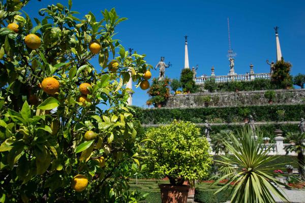 Gartenfantasien am Lago Maggiore - und Tee