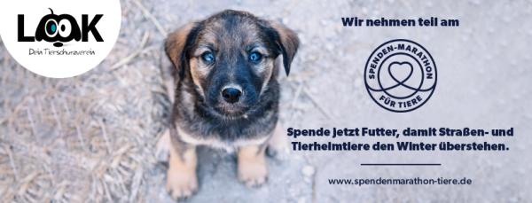 Spenden-Marathon für Tiere: Look Tierschutzverein aus Hamburg braucht Unterstützung