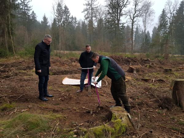 Das FIMAVO-Klimaschutzprojekt "Gemeinsam für den Wald und unsere Umwelt"
