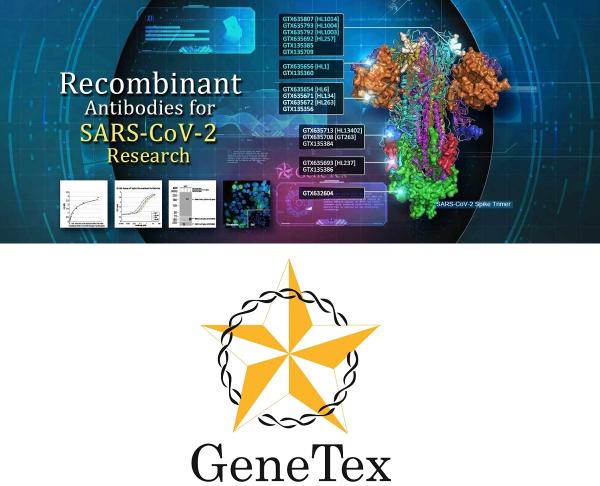 SARS-CoV-2-Forschung: GeneTex unterstützt die Wissenschaft