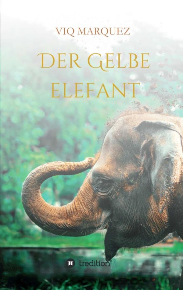 DER GELBE ELEFANT - Ein gelungener Debütroman mit spirituellen Elementen