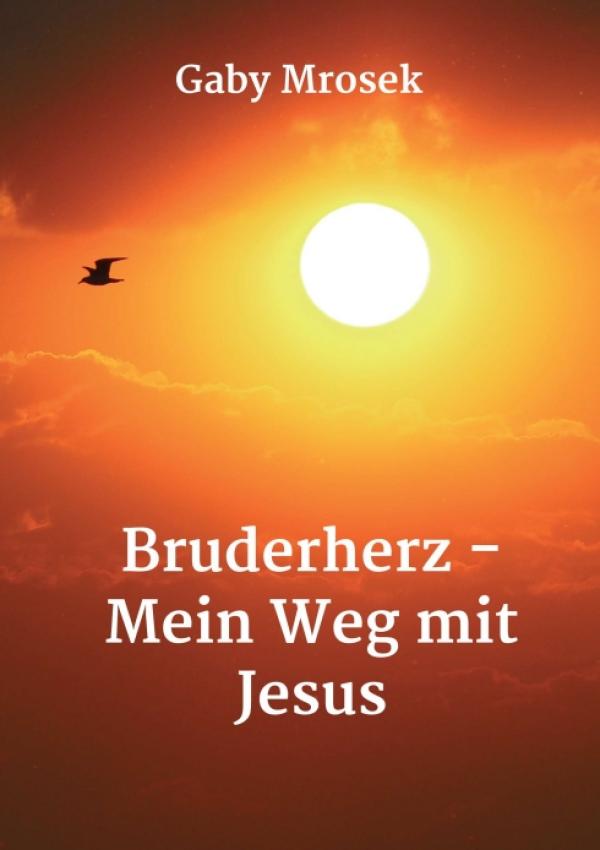 Bruderherz - Mein Weg mit Jesus - Spiritueller Erzählung für mehr Lebensfreude
