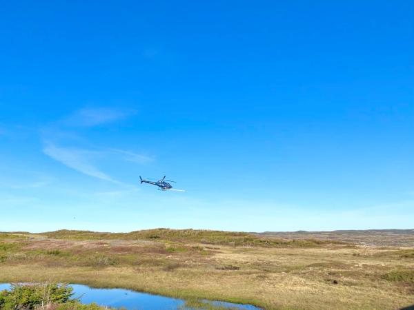 Matador Mining: Geophysik liefert neue Goldziele in Newfoundland
