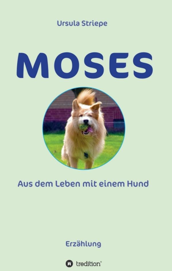 Moses - Aus dem Leben mit einem Hund