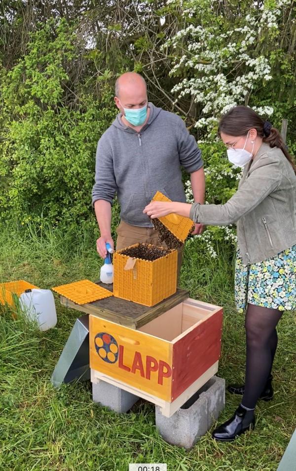 Mit LAPP Bienen der Pflanzenvielfalt auf der Spur