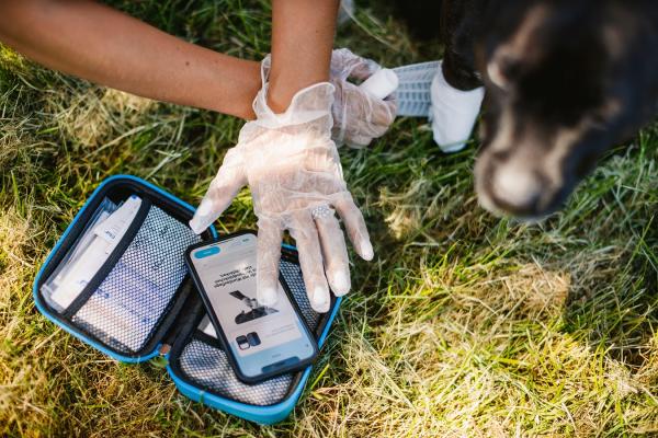 PocDoc PET CONNECT - Innovation für Hunde- und Katzenbesitzer