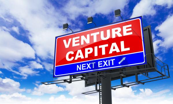 L-Capital - Mythos Venture Capital - segensreicher Entwicklungspartner für Ihr Start Up?