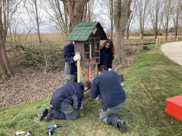 E.DIS: Auszubildende des Netzbetreibers engagieren sich für Artenschutz von Insekten in Brandenburg