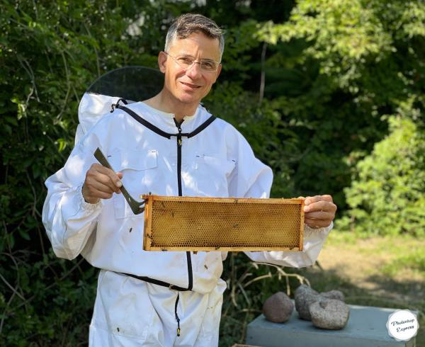 Wäschereigebäude für Bienenvölker: Rolf Slickers von Servitex schleudert mitten in Berlin ersten Honig 