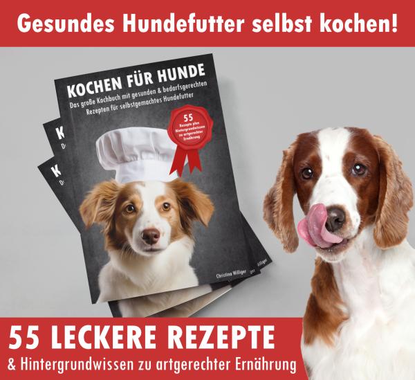 Kochen für Hunde: Selbstgemachtes Hundefutter statt Fertigfutter