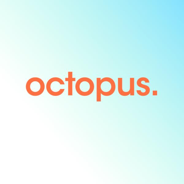 Octopus - Fotoshootings in Kapstadt. Mit +5.000 Foto-Locations.