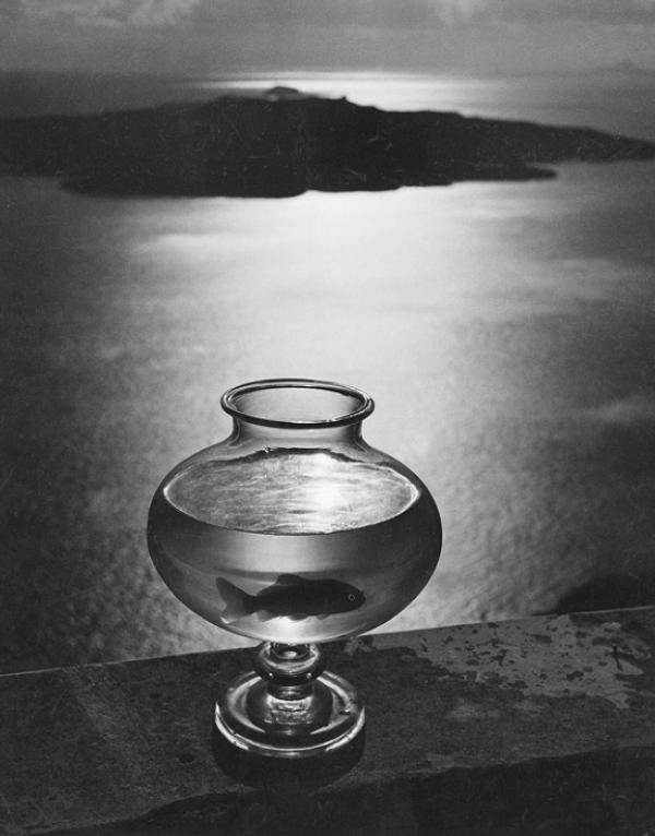 Photo-Soirée mit Herbert List im Weissen Haus