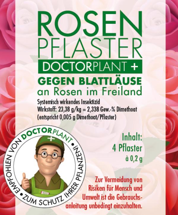 Rosen düngen und auf das Frühjahr vorbereiten