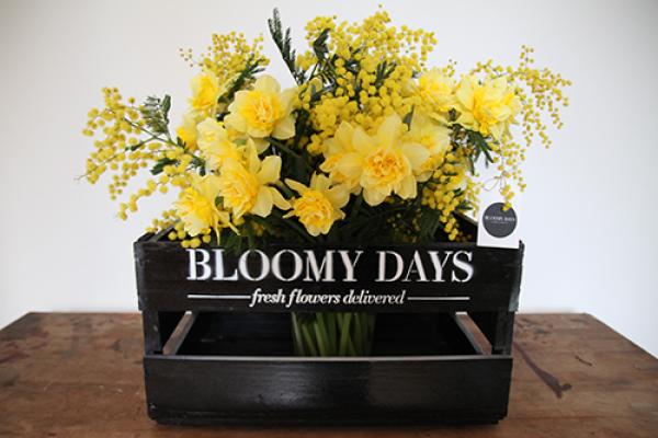 Bloomy Days versendet im ersten Geschäftsjahr 100.000 Schnittblumen. Die Revolution hat begonnen.