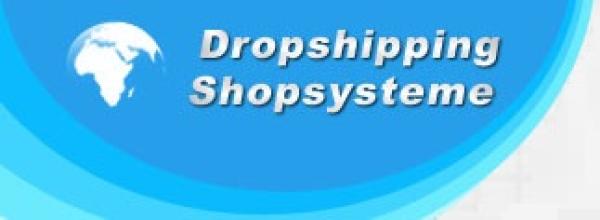 Einfach und günstig: Schlüsselfertige Dropshipping Shops