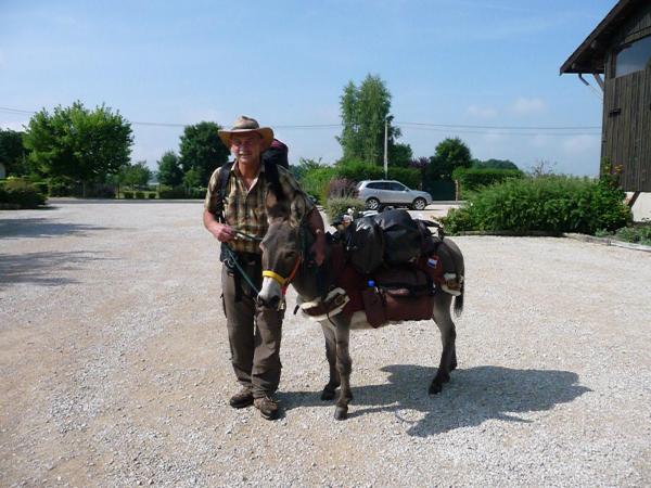 Buchtipp "Quinto und ich - 4 Hufe und 2 Füße"