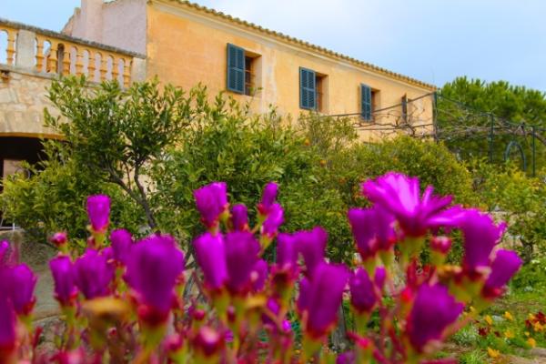 Luxus Finca Mallorca mieten Fincas Ferienhaus auf Mallorca 