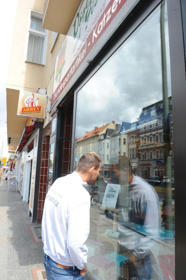 Nach Strafanzeige vom Deutschen Tierschutzbüro e.V.: Berliner Tierhändler muss Geldstrafe zahlen