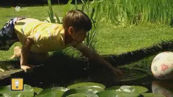 Gefahr durch Teiche und Tümpel: Kindersicherheit im Garten