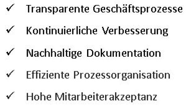 Das Qualitätsmanagementsystem WissIntra