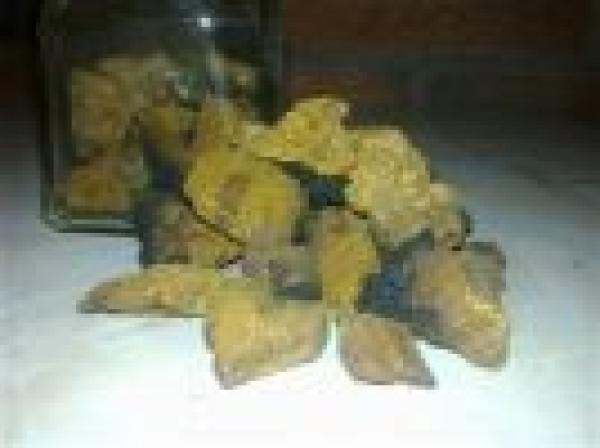 Diabetes, Bluthochdruck, Akne … gute Behandlungserfolge mit dem Naturheilmittel Chagapilz aus Finnland