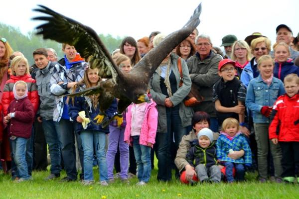 WarmUp zur Landesgartenschau Zülpich 2014.