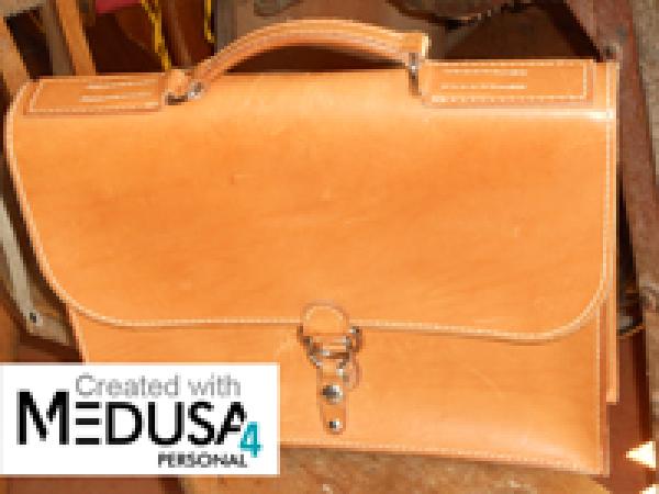 Kreatives CAD: Leder-Design mit Medusa4 Personal 