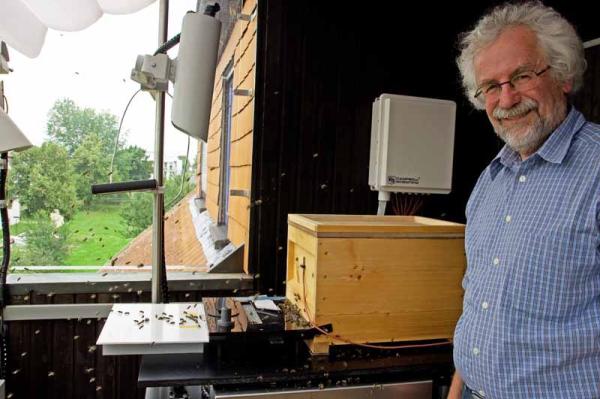 Fahndung nach den Bienenkillern - Lerneinheiten nun online