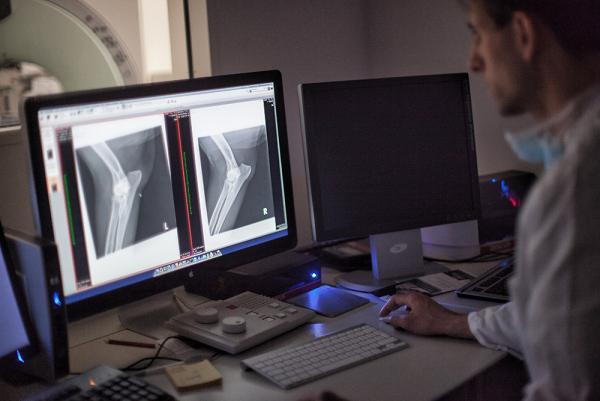 Tierärztliches Überweisungszentrum in Berlin